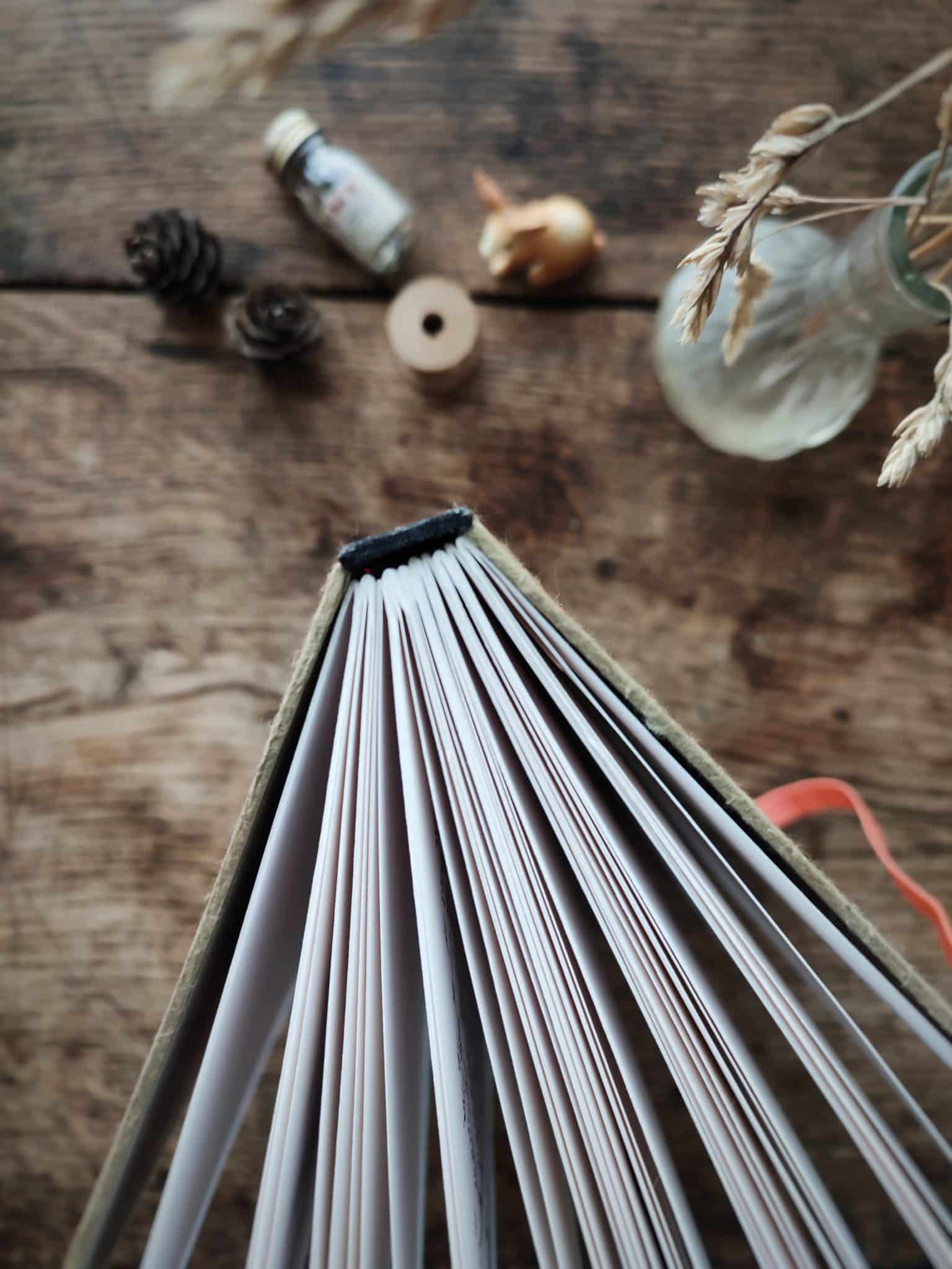 Le bruit des feuilles grand carnet chemins carnets artisanaux illustrés