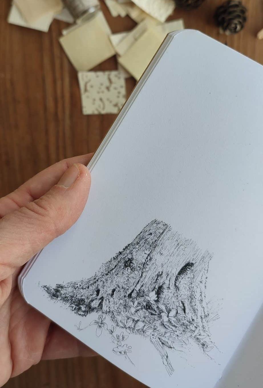 Le bruit des feuilles petit carnet chemins carnets artisanaux illustrés