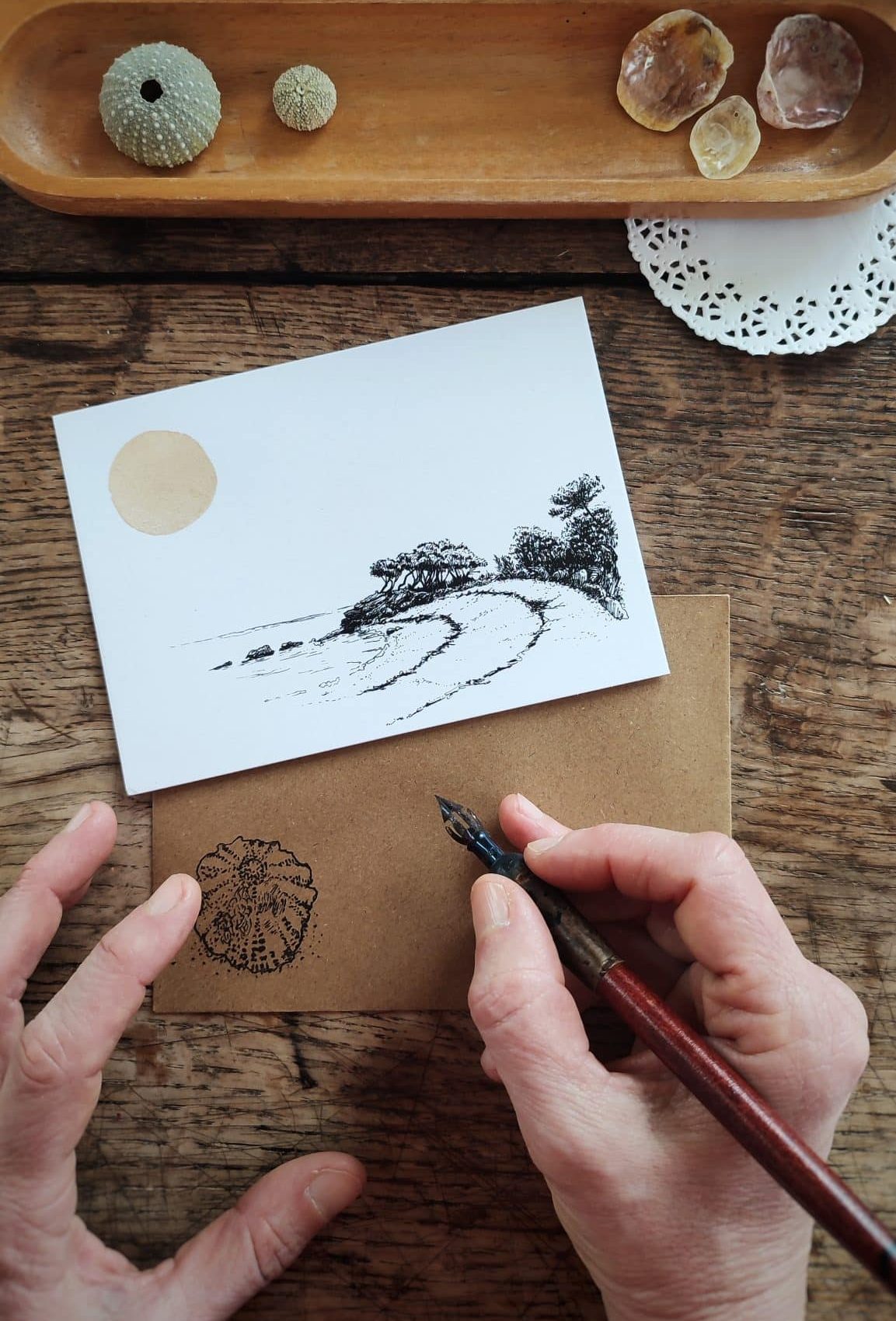 Le bruit des feuilles cartes postales mer carnets artisanaux illustrés