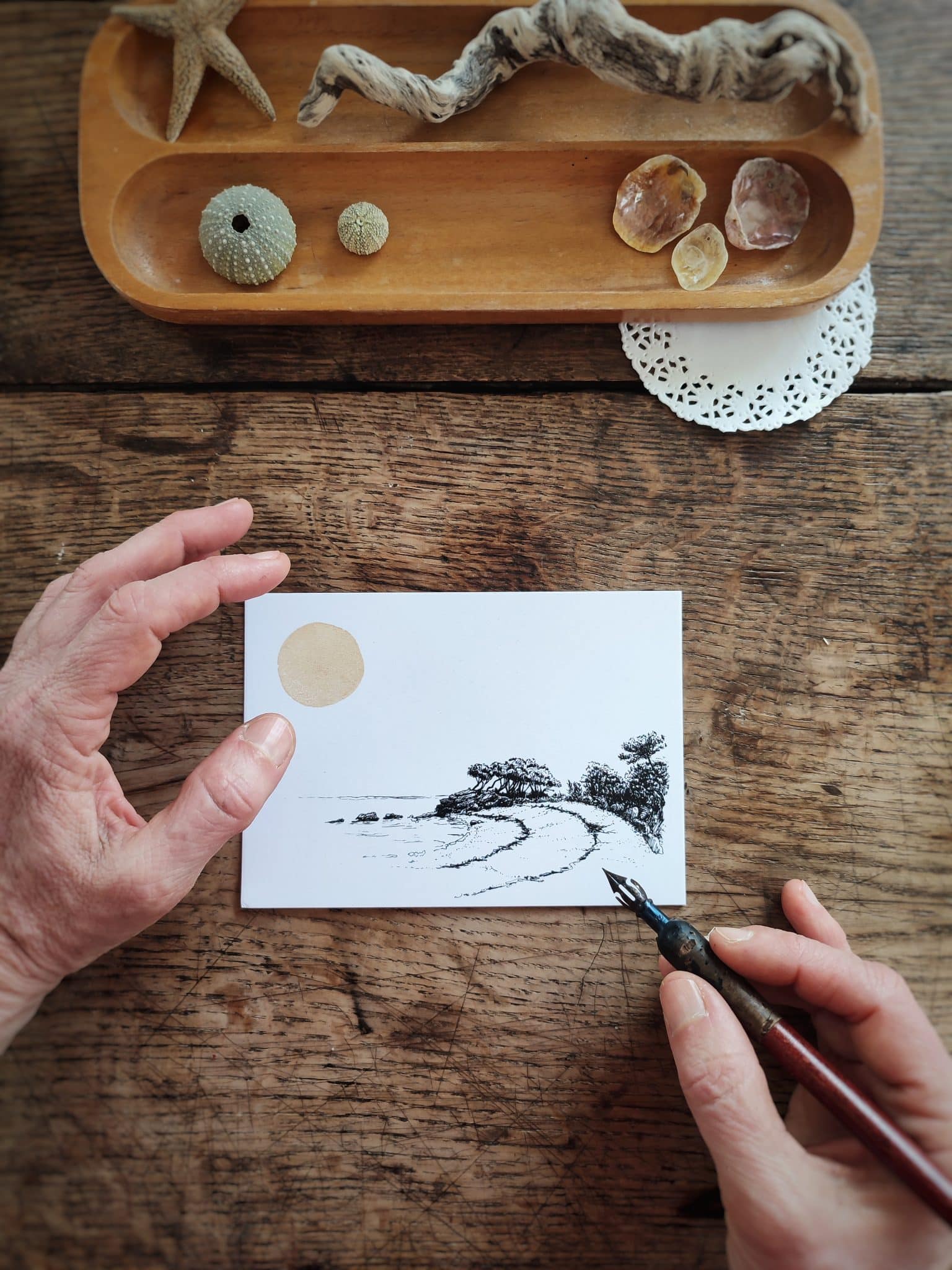 Le bruit des feuilles cartes postales mer carnets artisanaux illustrés