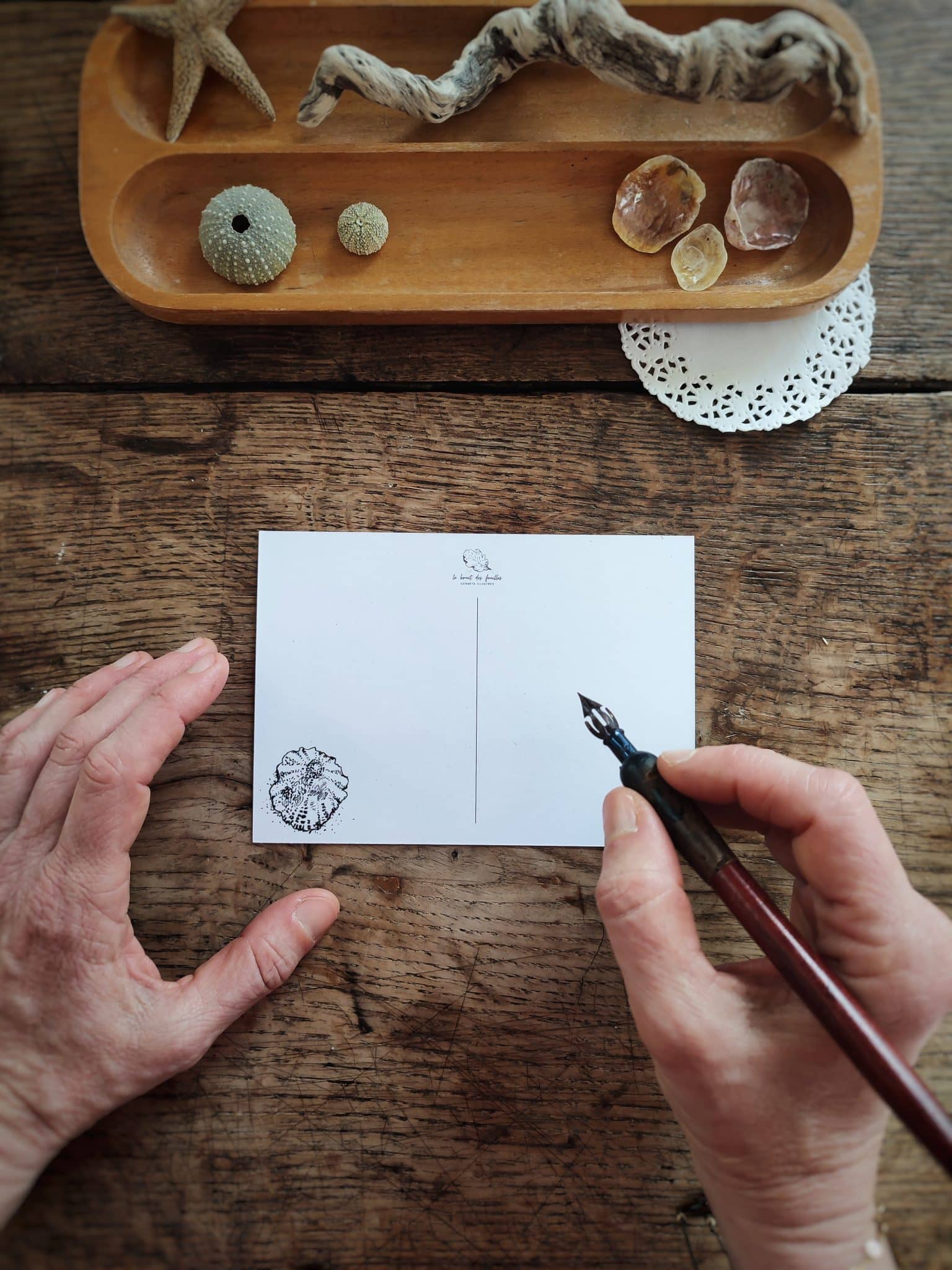 Le bruit des feuilles cartes postales mer carnets artisanaux illustrés