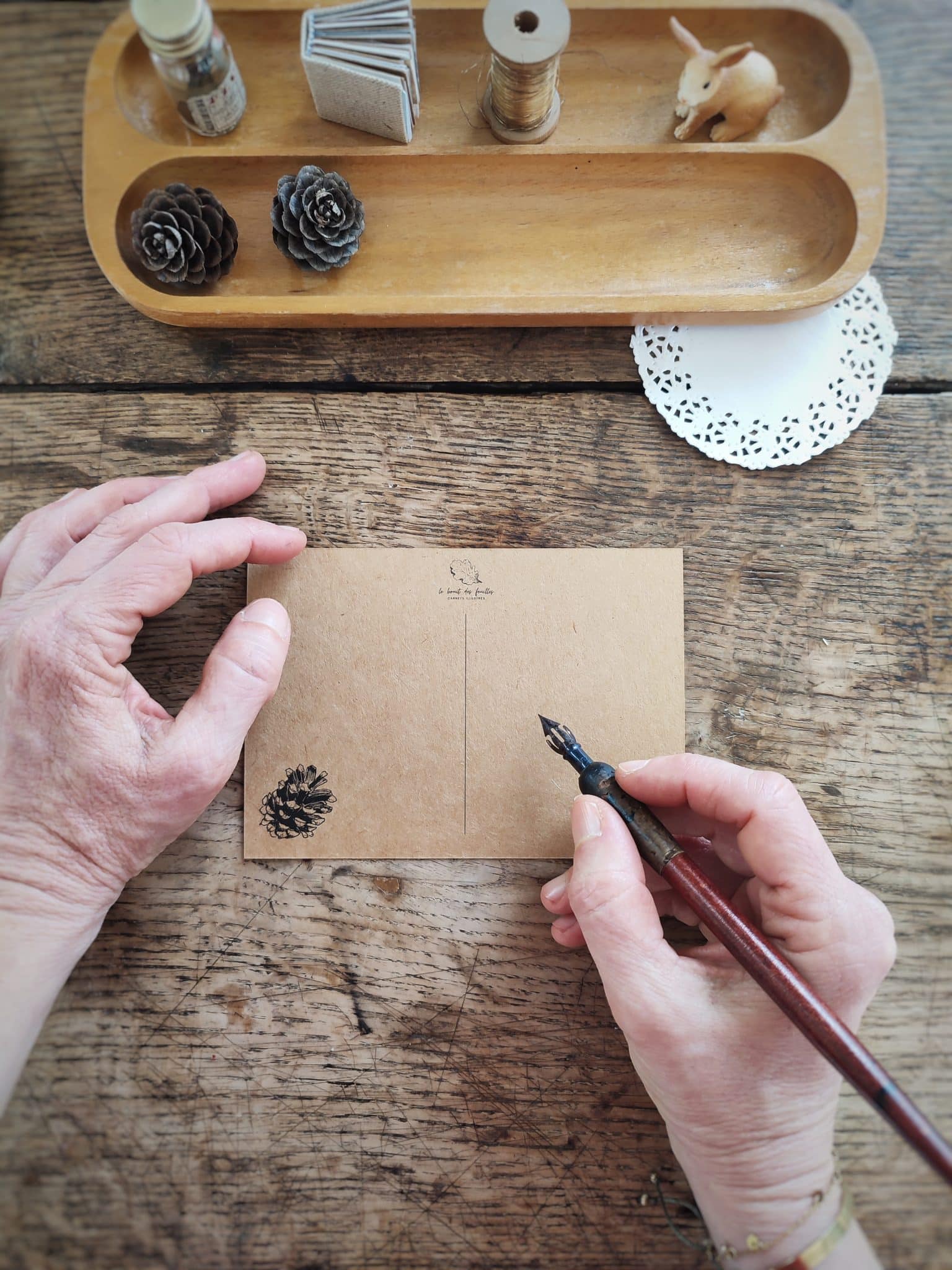 Le bruit des feuilles cartes postales chemins carnets artisanaux illustrés