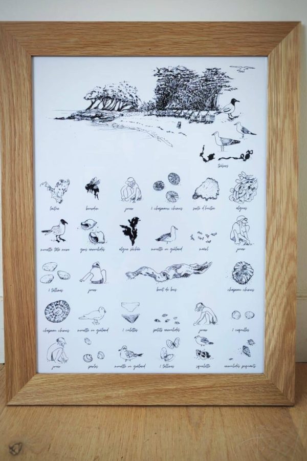 Affiche MER