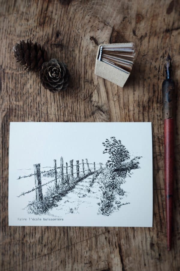 Carte CHEMINS + enveloppe